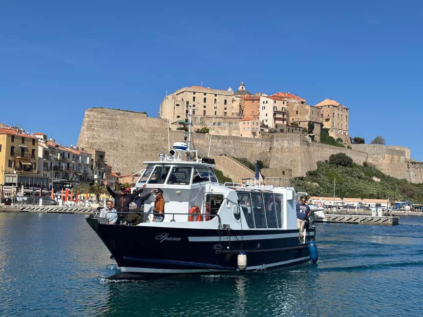 Calvi: Guided speedboat tour to Scandola and Girolata - Scandola Nature Reserve: guided close-up views (and the rules that make it special)