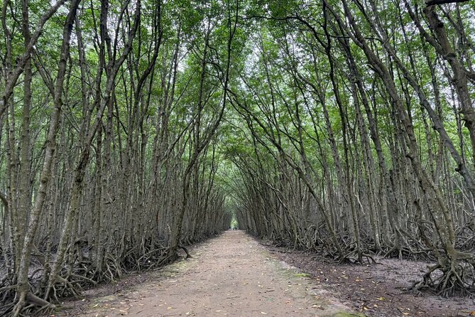 Can Gio Mangrove Adventure: Speedboat with Monkey Island - Speedboat through the mangroves: Rung Sac Guerrilla Base and wartime survival lessons