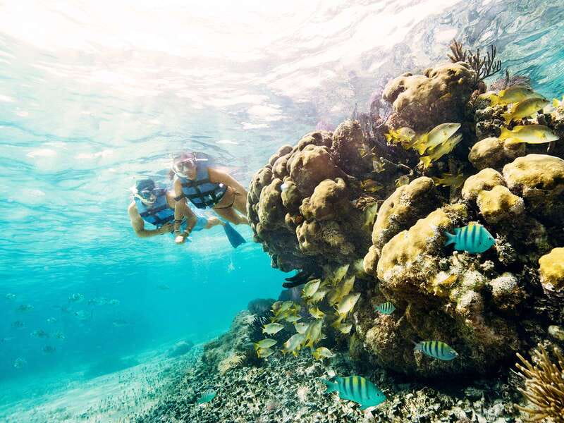 Cancun: 2–Hour Speedboat Experience - Key things to know before you go