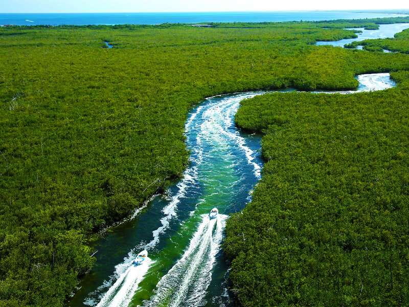 Cancun: 2–Hour Speedboat Experience - What to bring (and what to wear) so the day stays easy