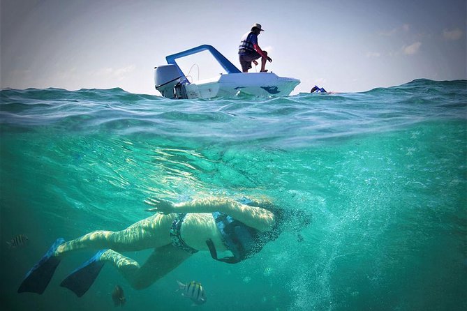 Cancun Adventure Speed Boat Jungle Tour with Transportation - What the Tour Includes (and Why That’s a Big Deal)