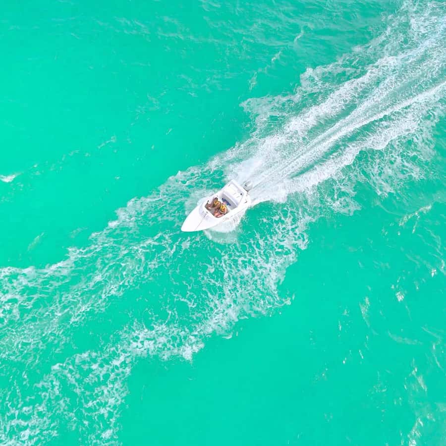 Cancun: Jungle Speedboat and Snorkeling Tour Adventure - Price and value: is $65 for this combo a good deal?