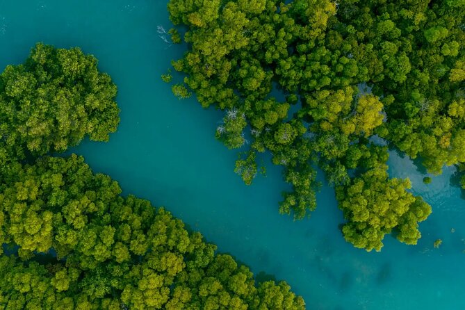 Cancun Jungle Tour with Speedboat and Snorkeling - Included vs. Not Included: The Real Cost in Your Pocket
