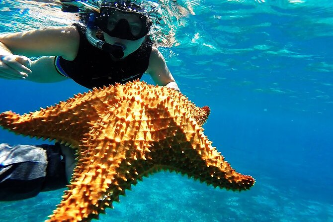 Cancun Jungle Tour with Speedboat and Snorkeling - Packing for a Speedboat and a Reef, Without Overthinking It