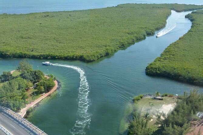 Cancun Jungle Tour with Speedboat and Snorkeling - Who This Tour Fits Best (and Who Might Want a Different Plan)