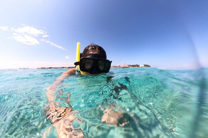 Cancun Jungle Tour with Speedboat and Snorkeling - Snorkeling on the Cancun Reef: What to Expect in 30 Minutes