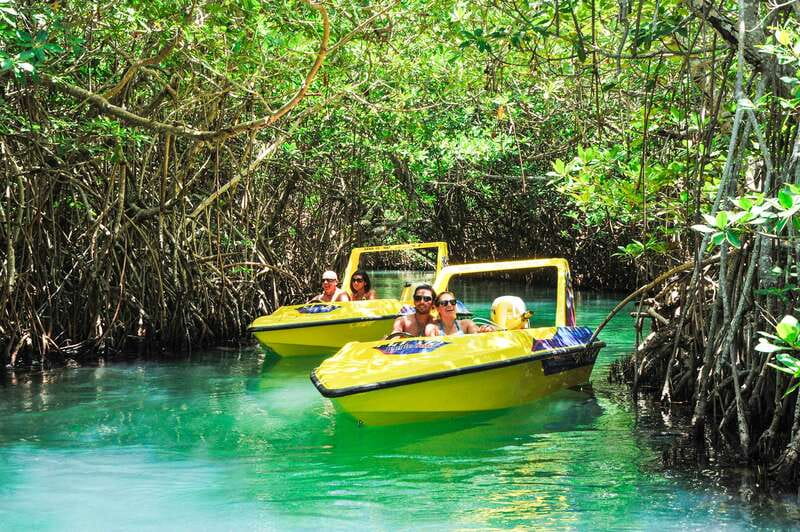 Cancun: Speedboat Mangrove Jungle & Snorkel Tour - Key things that make this tour worth your time