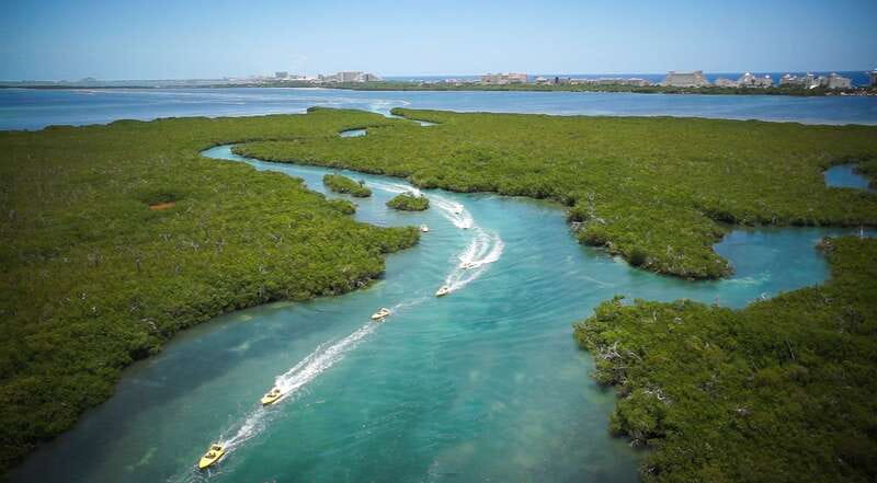 Cancun: Speedboat Mangrove Jungle & Snorkel Tour - What you need to bring (and who should skip this)
