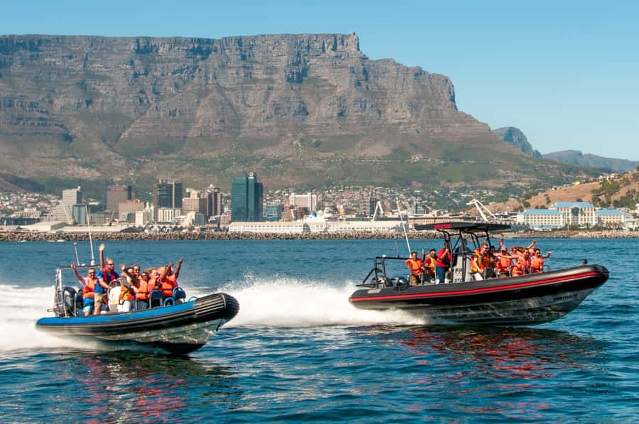 Cape Town Ocean Safari: Speed Boat Adventure in Table Bay - Safety Briefing First, Then That First Big Burst