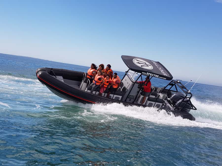 Cape Town Ocean Safari: Speed Boat Adventure in Table Bay - Marine Life You Can Actually Hope to See
