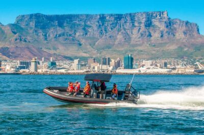 Cape Town Ocean Safari: Speed Boat Adventure in Table Bay - The Wildlife Hunt: Fast Search, Slow Scan, Repeat