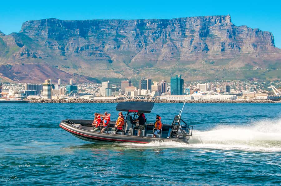 Cape Town Ocean Safari: Speed Boat Adventure in Table Bay - The Wildlife Hunt: Fast Search, Slow Scan, Repeat