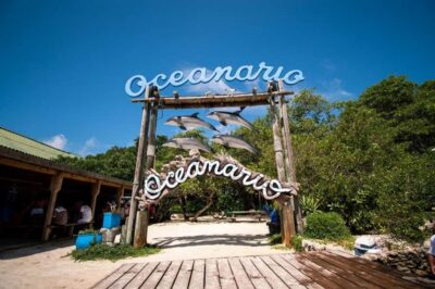 Cartagena: All-Inclusive Rosario Islands Speedboat Tour - Speedboat ride to the Rosario Islands: fast, wet, and not for everyone
