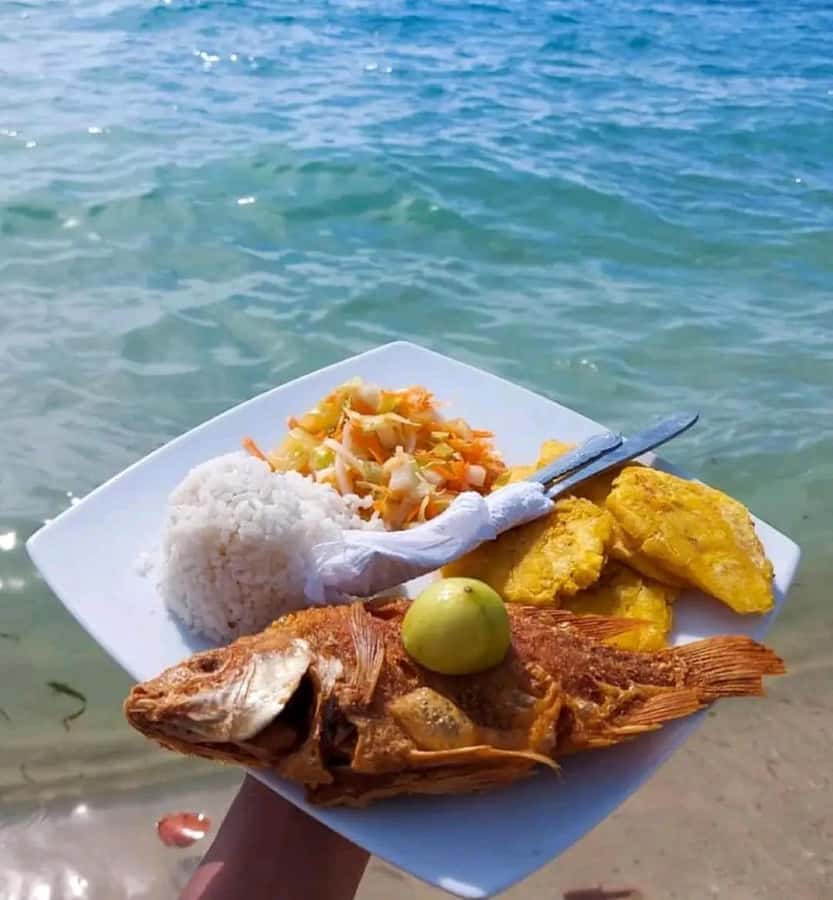 Cartagena: Playa Blanca BARU by speedboat with lunch - A Speedboat Day Out of Cartagena That Actually Saves Time
