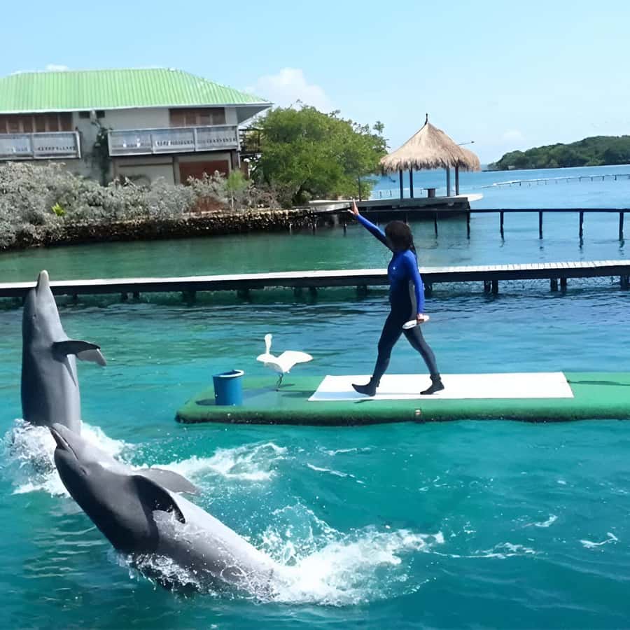 Cartagena: Visit 4 islands in a speedboat + plankton! - Cholón beach time at around an hour: what you can do with it