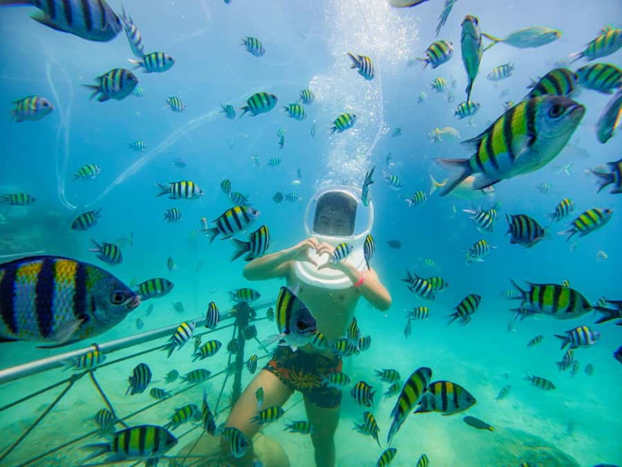 Chalong: Kahung Beach Day Trip by Speedboat & Lunch - Who should book this Kahung Beach speedboat day trip?