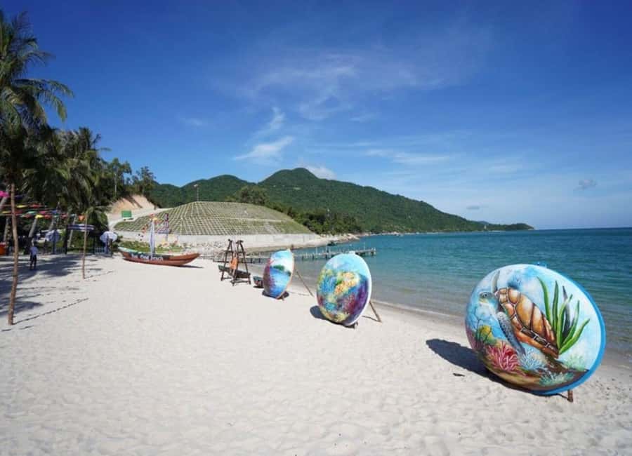 Cham Island: 1-Day Speedboat Trip with Snorkeling and Lunch - Snorkeling at Bãi Xếp or Hòn Tai: what to expect under the surface