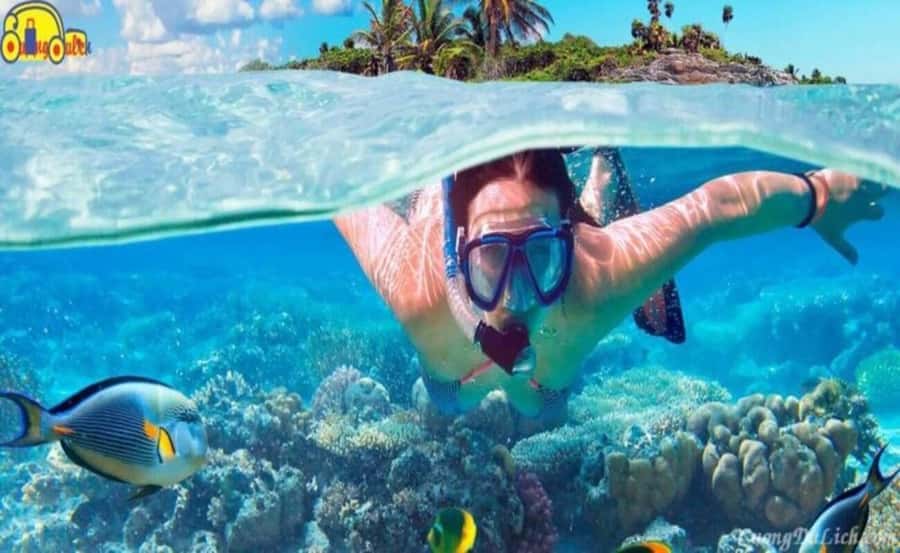 Cham Island: 1-Day Speedboat Trip with Snorkeling and Lunch - FAQ