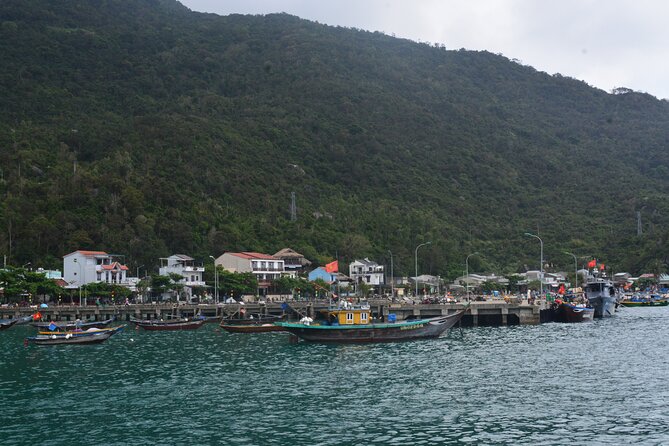Cham Island Day Tour: Speed Boat, Lunch, Snorkeling & Beach - Snorkeling at the marine protected area: the sea-life payoff