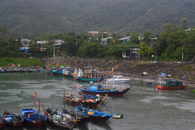 Cham Island Day Tour: Speed Boat, Lunch, Snorkeling & Beach - The education stops: marine-park context without the lecture