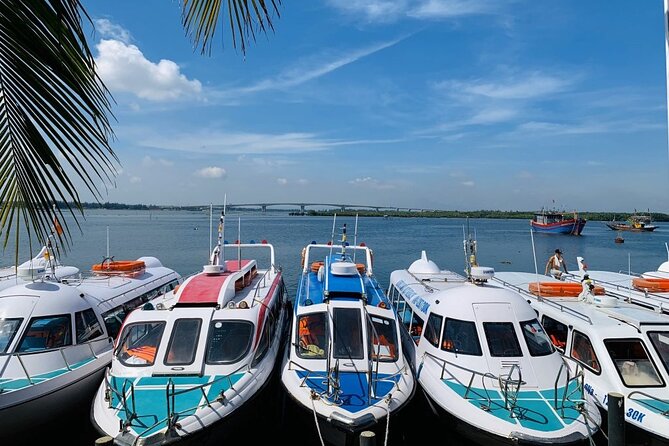 Cham Island Trip by Speed Boat including Snorkeling from Hoi An or Da Nang - Key things to know before you go