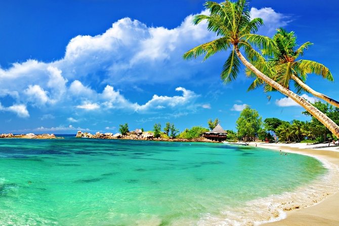 Cham Island Trip by Speed Boat including Snorkeling from Hoi An or Da Nang - Snorkeling in the UNESCO marine preserve: what 45 minutes really means