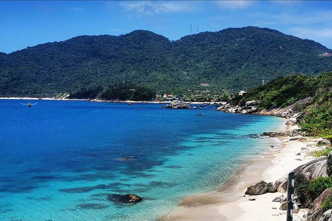 Cham Island Trip by Speed Boat including Snorkeling from Hoi An or Da Nang - Seafood lunch on Cu Lao Cham: included, practical, and worth planning around