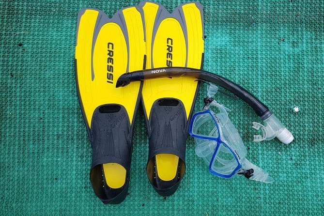 Cham Islands Snorkeling Tour by SpeedBoat from Da Nang - Cu Lao Cham UNESCO waters: what you’re really buying