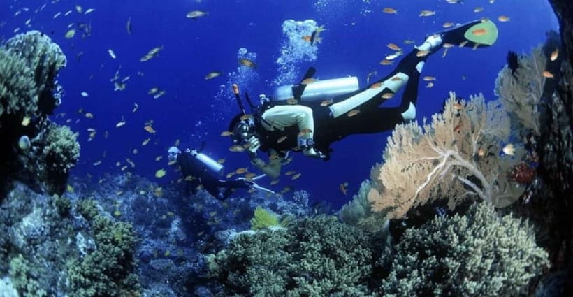 Cham Islands Snorkeling Tour by Speedboat : Hoi An/Da Nang - Snorkeling around Cham Island: how to make it actually enjoyable