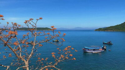 Cham Islands Snorkeling Tour by Speedboat : Hoi An / Da Nang - Lang Beach and the Marine Protected Area: More Than a Photo Stop