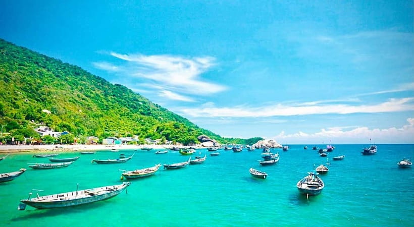 Cham Islands Snorkeling Tour by Speedboat : Hoi An/Da Nang - The Bai Ong or Bai Chong stop: swimming plus lunch that hits the spot