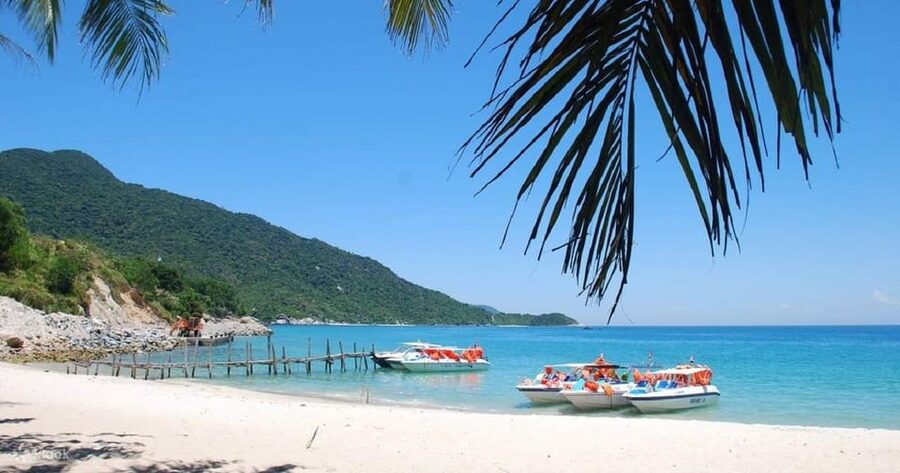 Cham Islands Snorkeling Tour by Speedboat : Hoi An/Da Nang - Should you book the Cham Islands snorkeling tour?