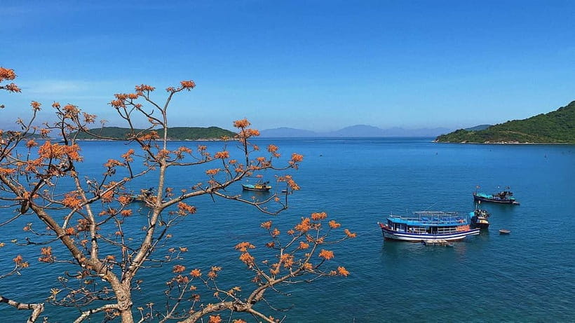 Cham Islands Snorkeling Tour by Speedboat : Hoi An / Da Nang - Lang Beach and the Marine Protected Area: More Than a Photo Stop