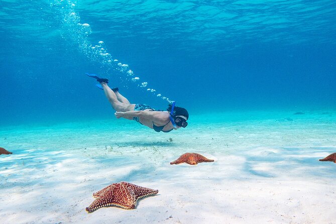 Cozumel Starfish and Tropical Reef Snorkeling by Powerboat with Lunch - Lunch and small breaks: keeping the day from feeling rushed