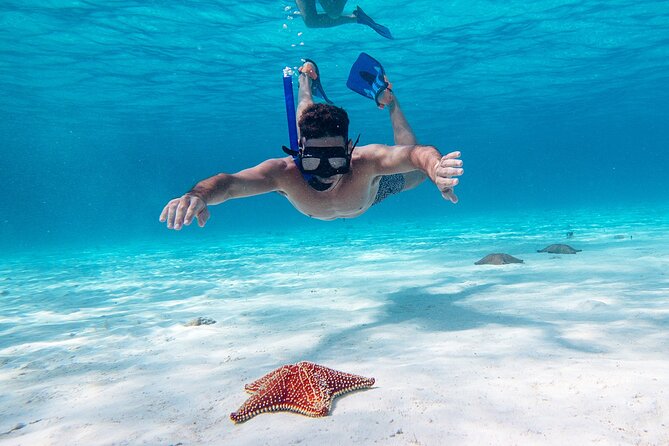 Cozumel Starfish and Tropical Reef Snorkeling by Powerboat with Lunch - The real logistics: pickup times and the ferry to Cozumel