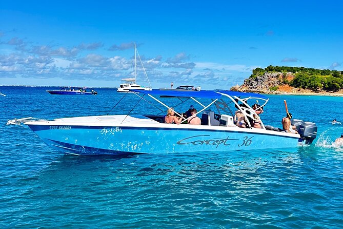 Cristal Speed boat, Snorkeling, Beach Tour & Lunch St Maarten - Tintamarre Island and Sea Turtles: A Big Moment in a Normal Day