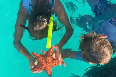 Cristal Speed boat, Snorkeling, Beach Tour & Lunch St Maarten - Creole Rock Snorkeling: What You’re Really Signing Up For