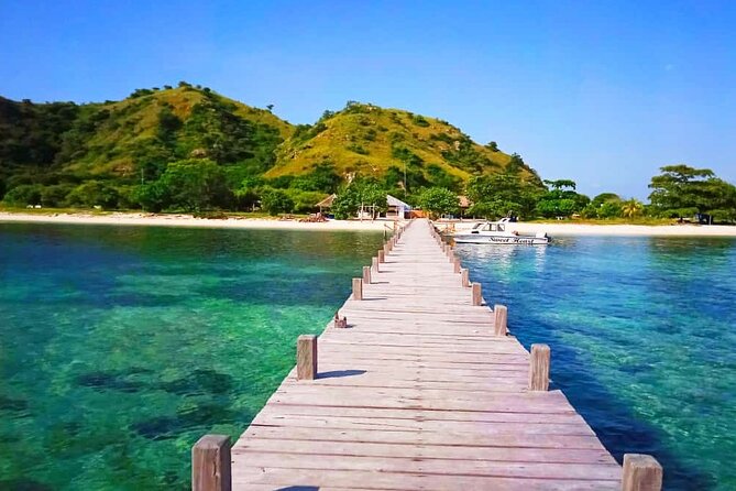 Daily Trip Highlight Komodo Archipelago by Speed Boat - Pink Beach and Kanawa: the swim-and-snorkel payoff
