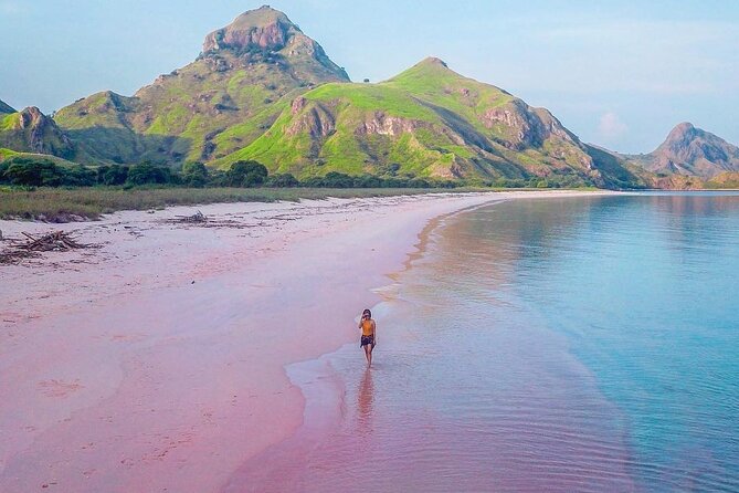 Daily Trip Highlight Komodo Archipelago by Speed Boat - Padar Island viewpoints and the small entrance fee