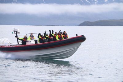Dalvík: Whale Watching Speedboat Tour - The RIB experience: suspension seats and speed you can handle