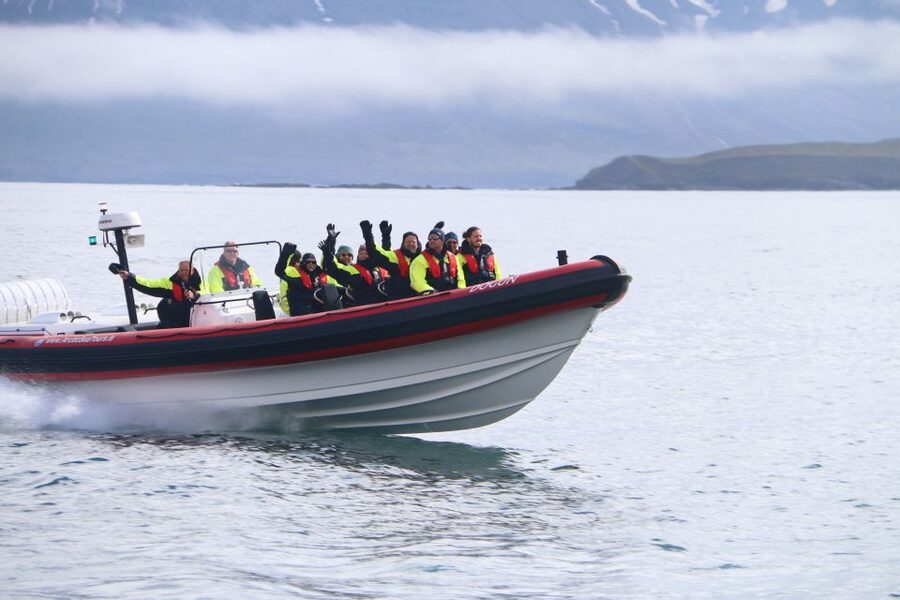 Dalvík: Whale Watching Speedboat Tour - The RIB experience: suspension seats and speed you can handle