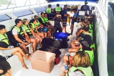 Day Tour to Angthong Marine Park by Insea Speedboat from Koh Samui - Koh Wao Yai: the snorkel spot where the water makes or breaks it