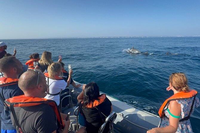 Dolphin Expedition Shared Speedboat tour with Biologist guide - The São Francisco Monastery ruins and the 1755 earthquake story