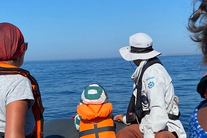Dolphin Expedition Shared Speedboat tour with Biologist guide - Exiting to the ocean: Portimão Marina and the jump from river to Atlantic
