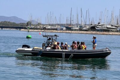 Dolphin Expedition Shared Speedboat tour with Biologist guide - Fisherman’s village views and São João do Arade’s protective role