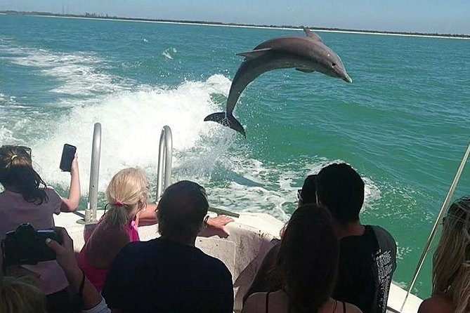 Dolphin House By Private Speed Boat & Drinks & Transfer-Hurghada - Dolphin House Swim: What to Expect and How to Make It Go Smoothly