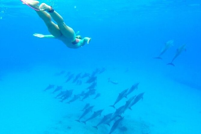 Dolphin Snorkel With private Speed Boat & Water Sports - Hurghada - Water Sports Included: Using The Ride Time Wisely