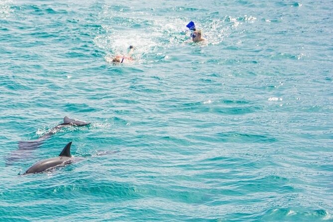 Dolphin Snorkel With private Speed Boat & Water Sports - Hurghada - Pickup, Timing, And A Smart Morning Game Plan