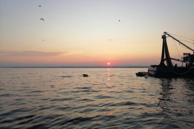 Dolphin Sunrise Adventure with Speedboat - Fishermen at first light: what that stop is really about