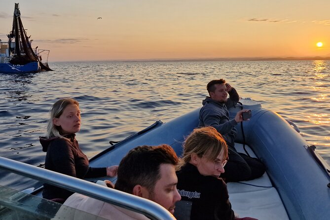 Dolphin Sunrise Adventure with Speedboat - Who should book this dolphin sunrise speedboat